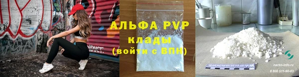 ГАЛЛЮЦИНОГЕННЫЕ ГРИБЫ Сосновка