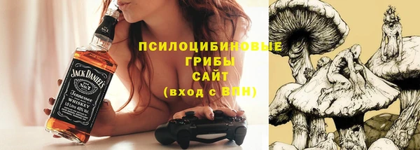 кокаин Белокуриха