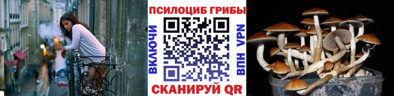 Псилоцибиновые грибы Magic Shrooms  Верхняя Тура 